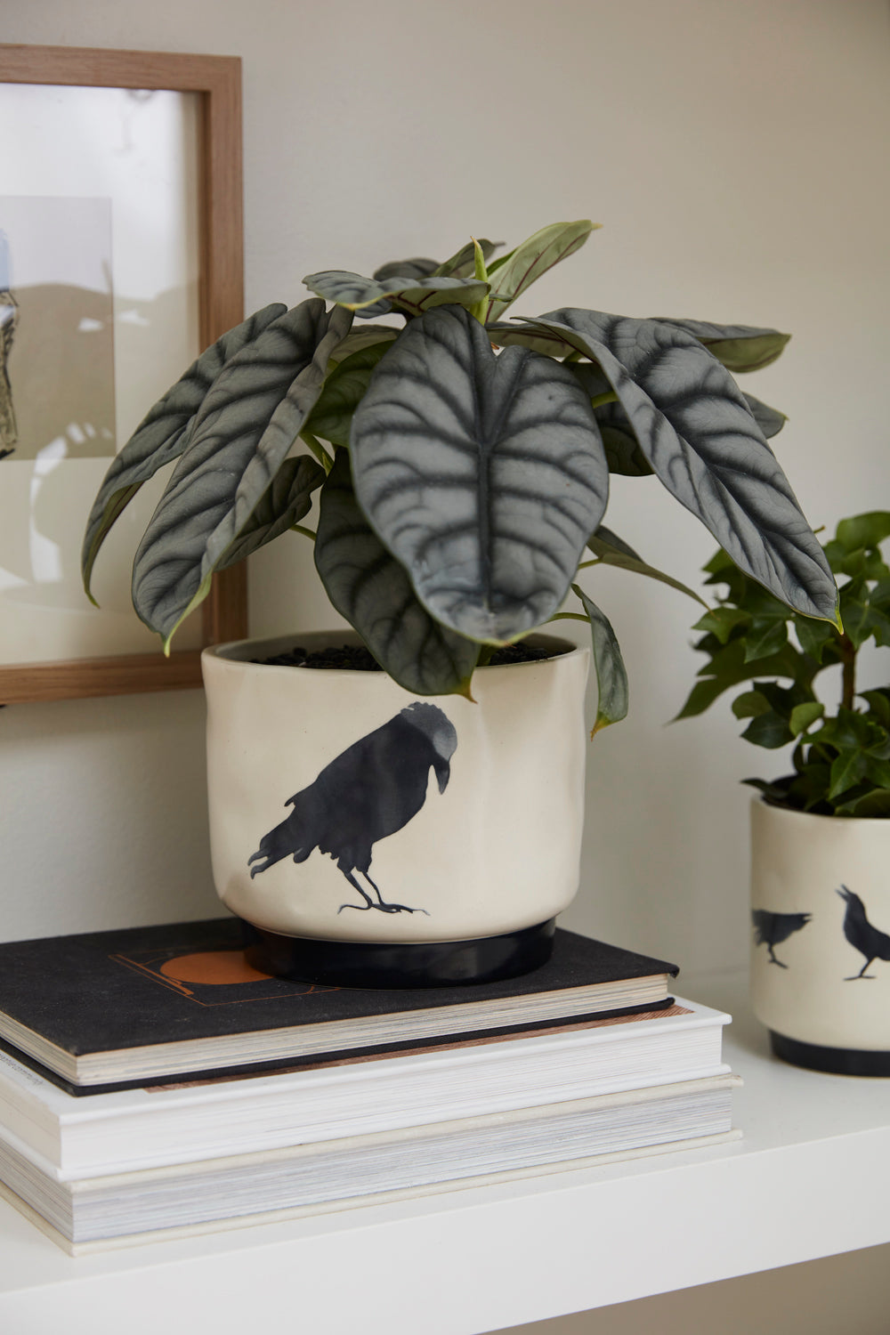 Corvus Pot Set of 4 By Accent Decor | Planters, Troughs & Cachepots | Modishstore - 7