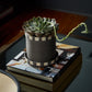 Kimo Pot with Saucer Set of 2 By Accent Decor | Stands | Modishstore - 5