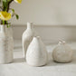 Francesca Budvase Set of 4 By Accent Decor | Vases | Modishstore - 10
