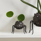 Silly Spider Pot Set of 8 By Accent Decor | Planters, Troughs & Cachepots | Modishstore - 6