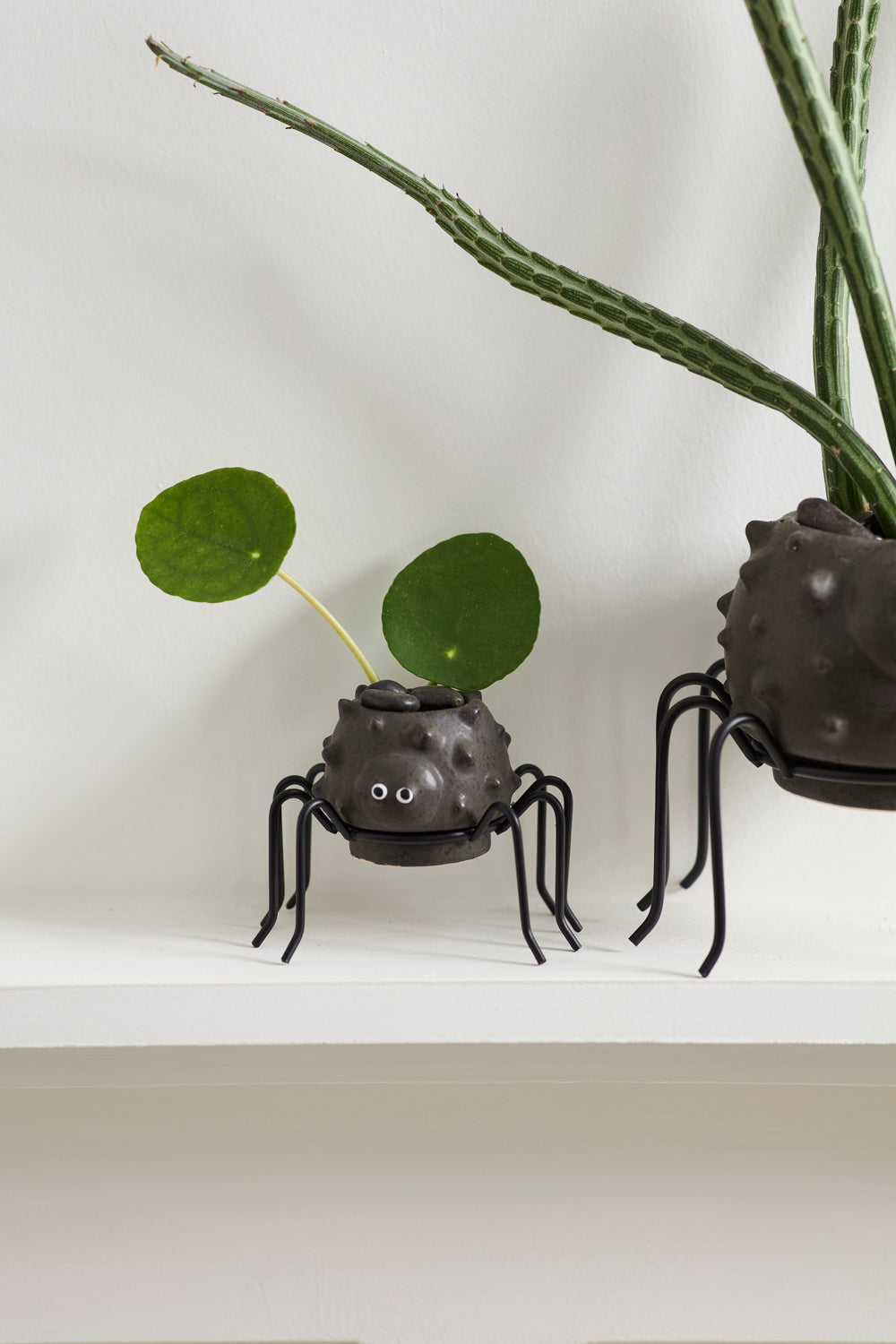 Silly Spider Pot Set of 8 By Accent Decor | Planters, Troughs & Cachepots | Modishstore - 6