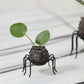 Silly Spider Pot Set of 8 By Accent Decor | Planters, Troughs & Cachepots | Modishstore - 5