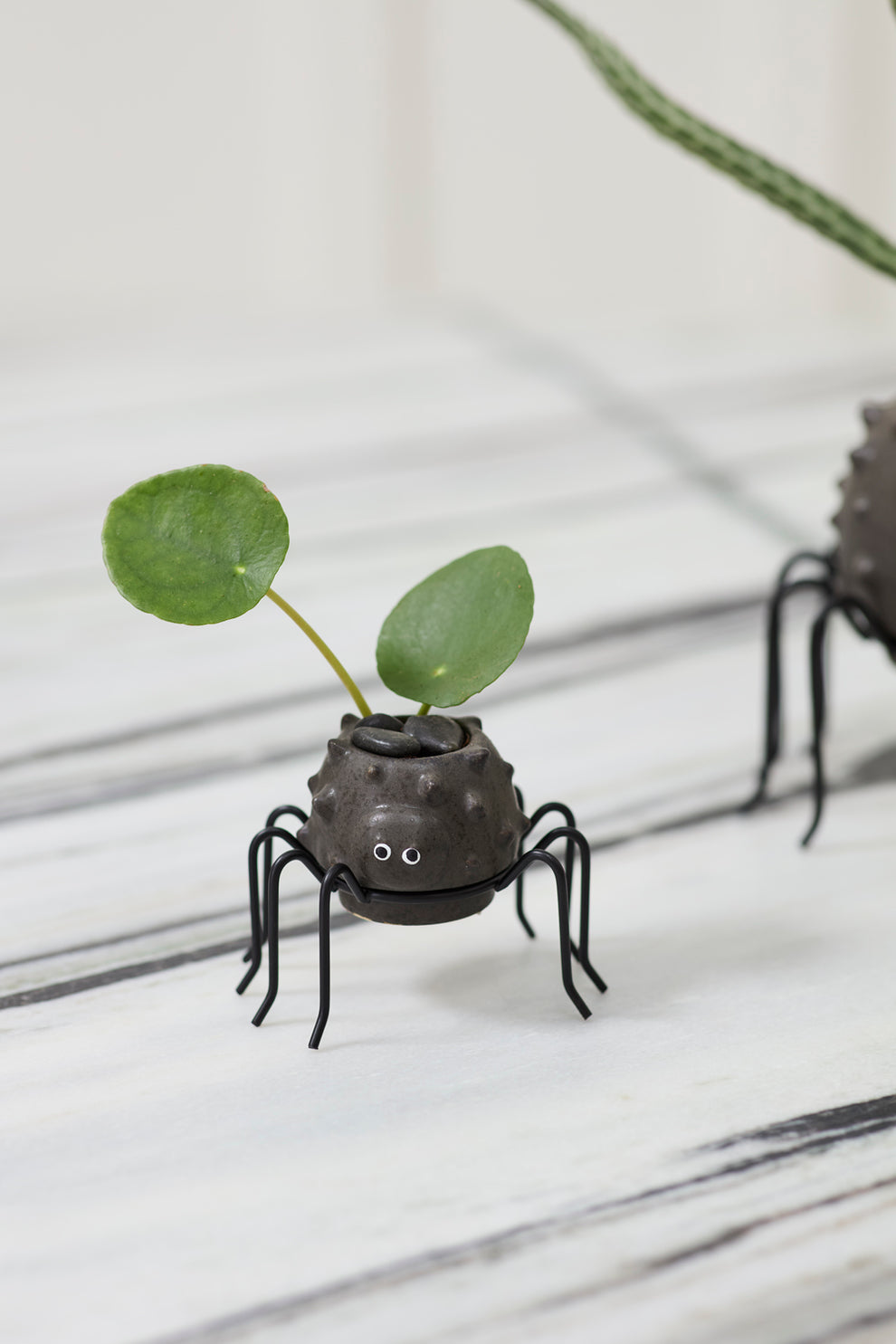 Silly Spider Pot Set of 8 By Accent Decor | Planters, Troughs & Cachepots | Modishstore - 5