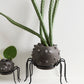Silly Spider Pot Set of 8 By Accent Decor | Planters, Troughs & Cachepots | Modishstore - 9