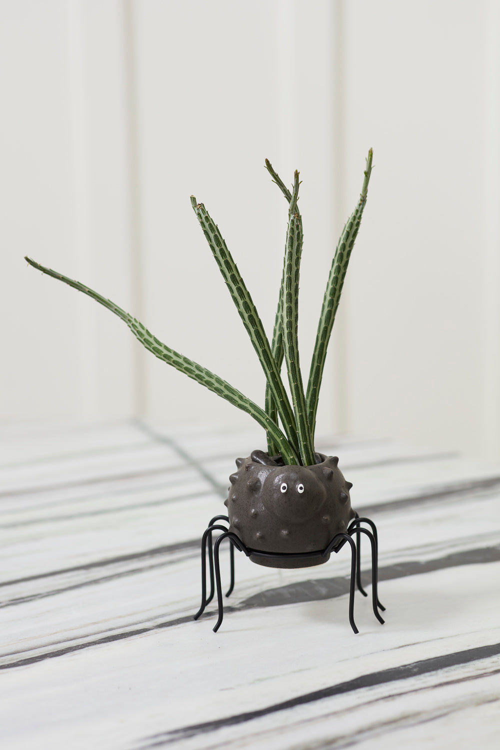 Silly Spider Pot Set of 8 By Accent Decor | Planters, Troughs & Cachepots | Modishstore - 8