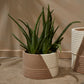 Rift Pot By Accent Decor | Planters, Troughs & Cachepots | Modishstore - 6