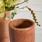 Cyrus Collection Set of 8 By Accent Decor | Planters, Troughs & Cachepots | Modishstore - 13