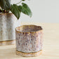 Avenell Pot Set of 2 By Accent Decor | Planters, Troughs & Cachepots | Modishstore - 6