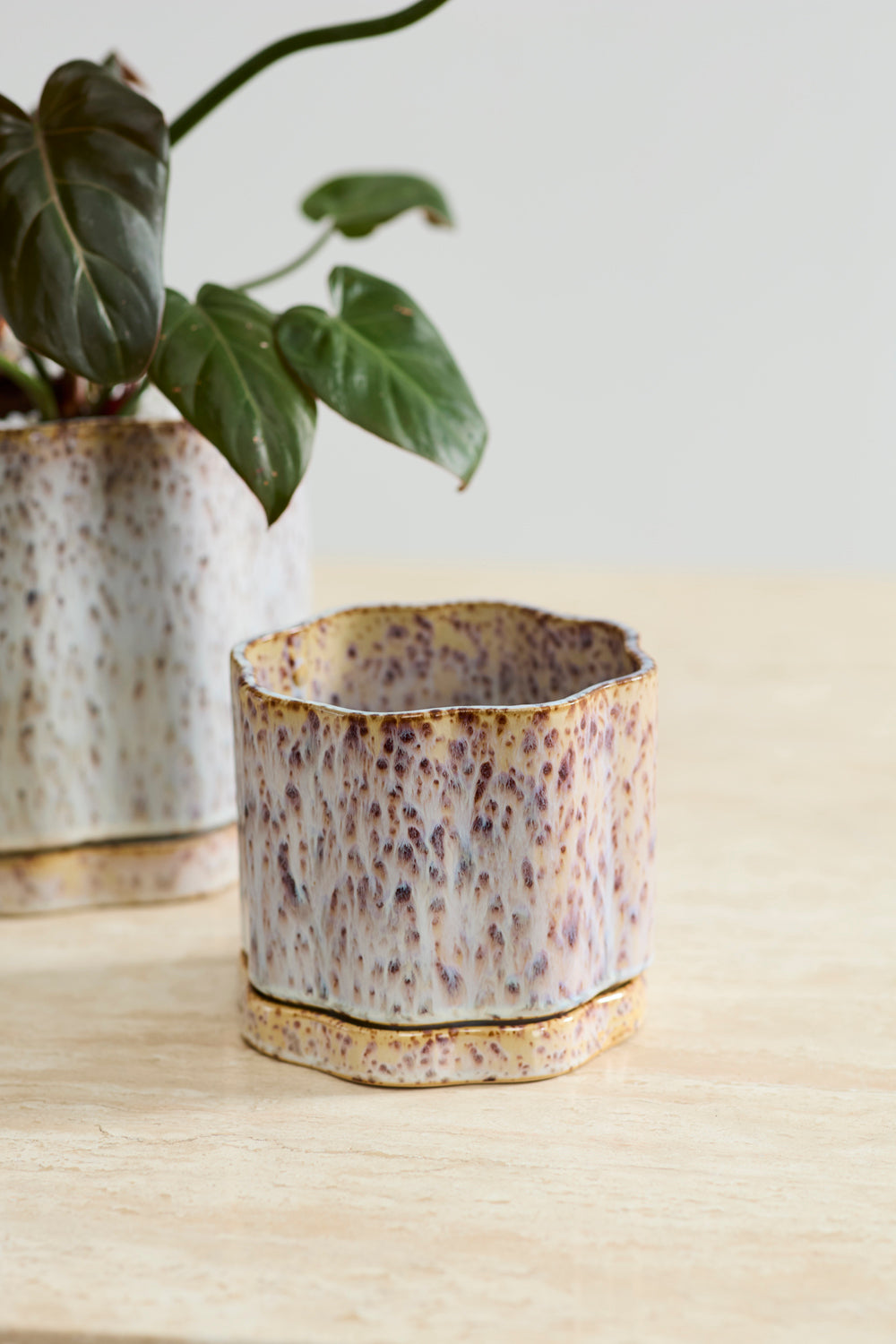Avenell Pot Set of 2 By Accent Decor | Planters, Troughs & Cachepots | Modishstore - 6