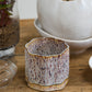 Avenell Pot Set of 2 By Accent Decor | Planters, Troughs & Cachepots | Modishstore - 5