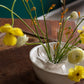 Shephard Flower Frog Set of 8 By Accent Decor | Vases | Modishstore - 12