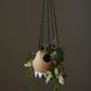 Liko Hanging Planter Set of 2 By Accent Decor | Planters, Troughs & Cachepots | Modishstore - 4