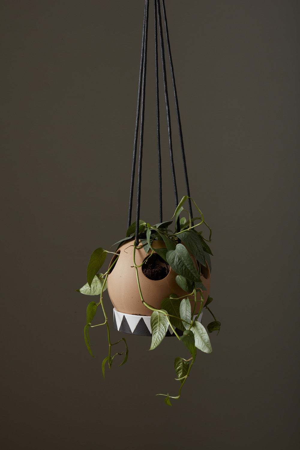 Liko Hanging Planter Set of 2 By Accent Decor | Planters, Troughs & Cachepots | Modishstore - 4