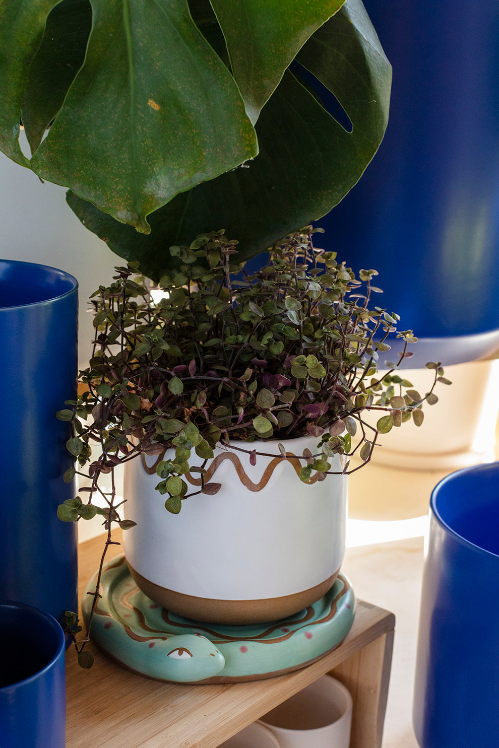 Bindi Pot Set of 4 By Accent Decor | Planters, Troughs & Cachepots | Modishstore - 7