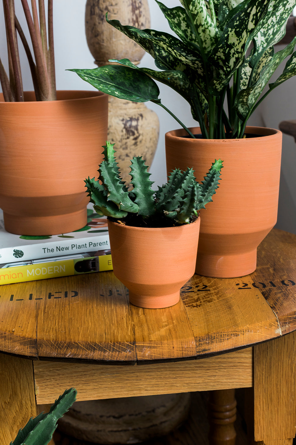 Crescendo Collection Set of 8 By Accent Decor | Planters, Troughs & Cachepots | Modishstore - 5