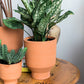 Crescendo Collection Set of 8 By Accent Decor | Planters, Troughs & Cachepots | Modishstore - 7