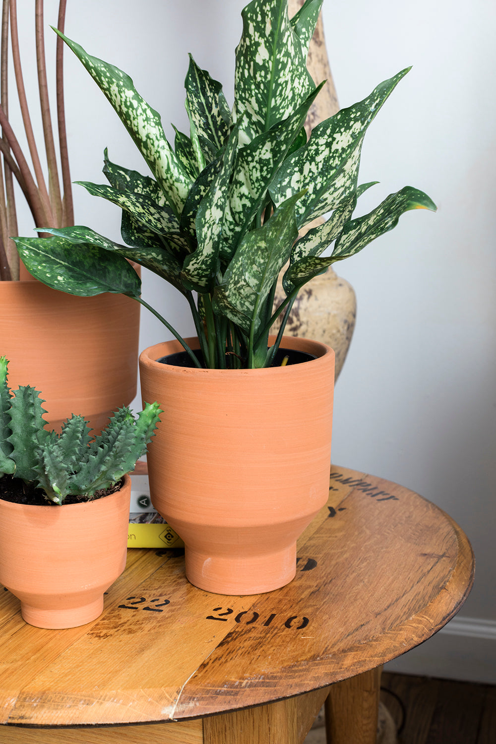 Crescendo Collection Set of 8 By Accent Decor | Planters, Troughs & Cachepots | Modishstore - 7
