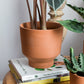 Crescendo Collection Set of 8 By Accent Decor | Planters, Troughs & Cachepots | Modishstore - 9