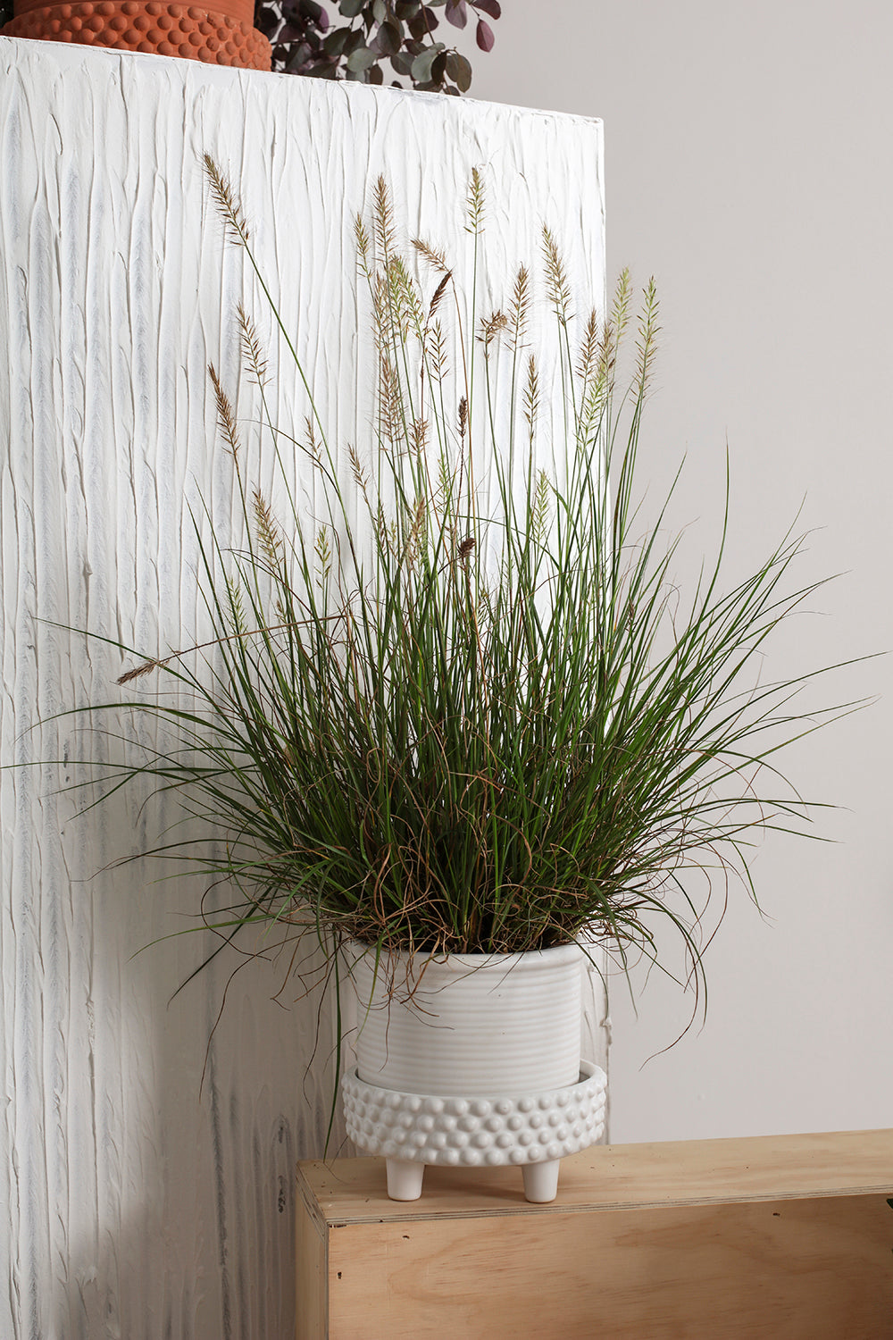 Jane Footed Pot Set of 4 By Accent Decor | Planters, Troughs & Cachepots | Modishstore - 7