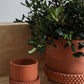 Jane Footed Pot Set of 4 By Accent Decor | Planters, Troughs & Cachepots | Modishstore - 10