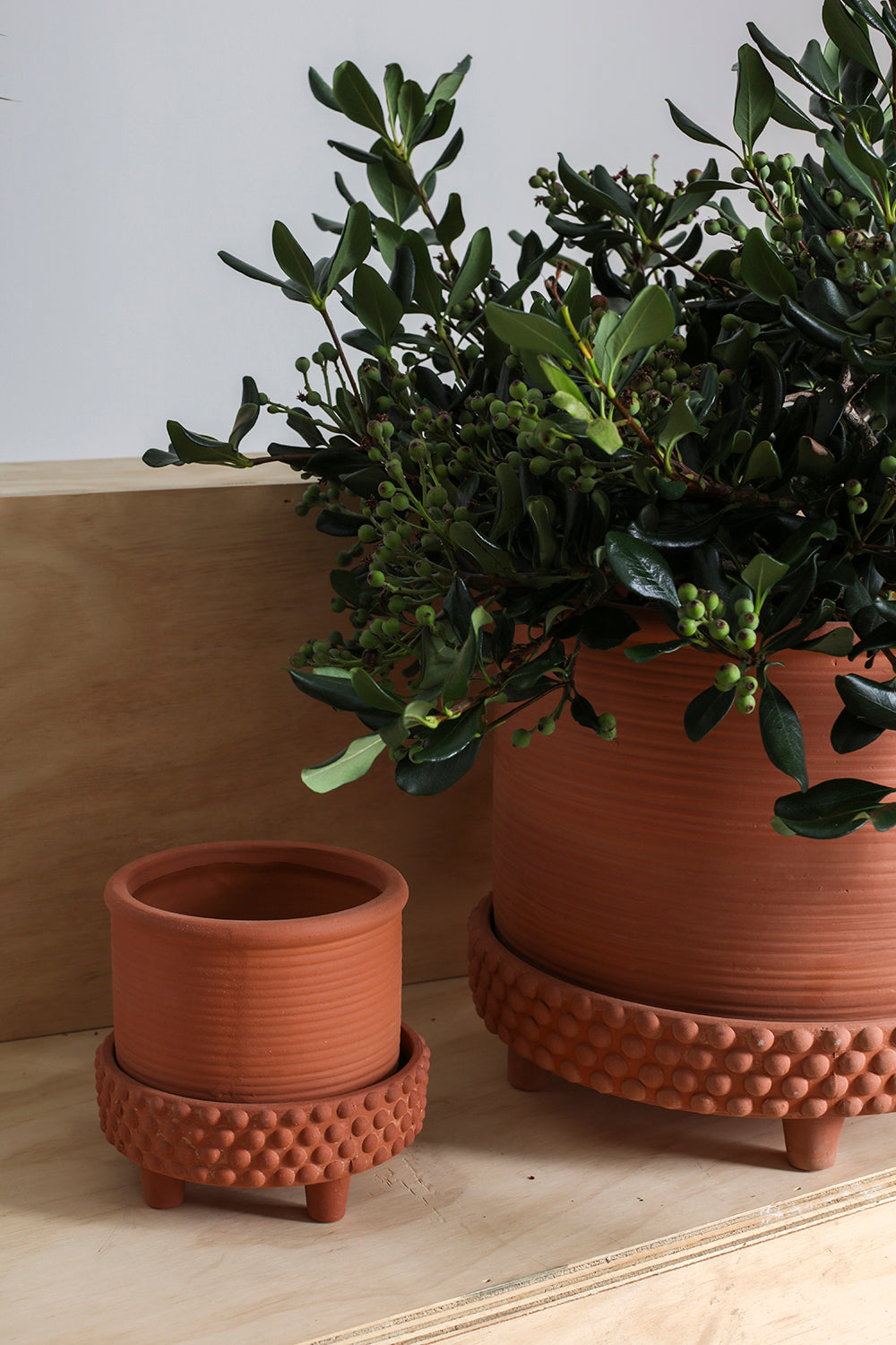 Jane Footed Pot Set of 4 By Accent Decor | Planters, Troughs & Cachepots | Modishstore - 10