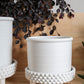 Jane Footed Pot Set of 4 By Accent Decor | Planters, Troughs & Cachepots | Modishstore - 13