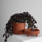Jane Footed Pot Set of 4 By Accent Decor | Planters, Troughs & Cachepots | Modishstore - 16