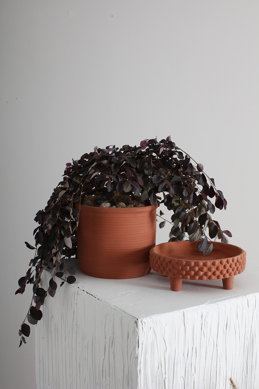 Jane Footed Pot Set of 4 By Accent Decor | Planters, Troughs & Cachepots | Modishstore - 16