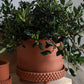 Jane Footed Pot Set of 4 By Accent Decor | Planters, Troughs & Cachepots | Modishstore - 22