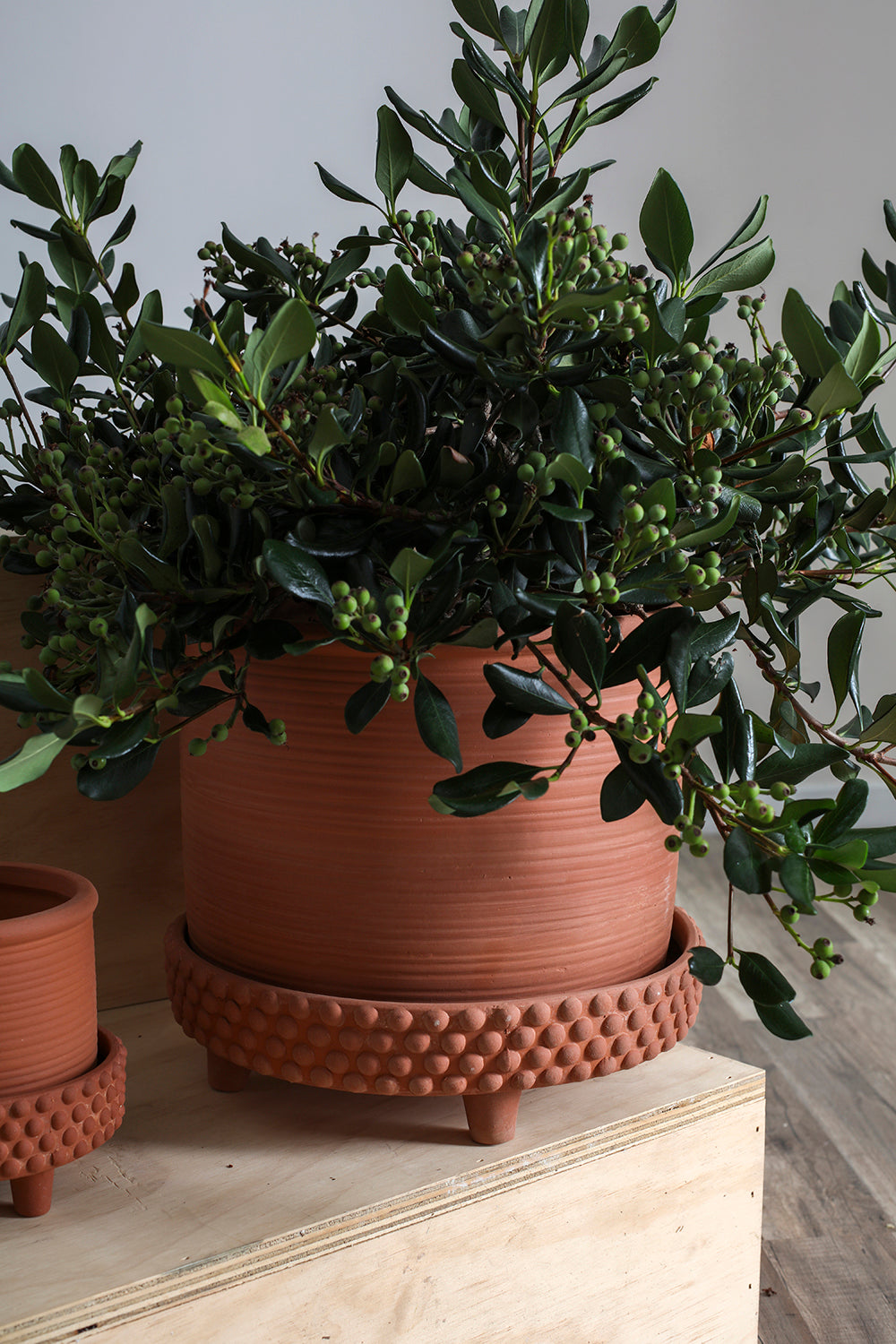 Jane Footed Pot Set of 4 By Accent Decor | Planters, Troughs & Cachepots | Modishstore - 22
