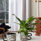 Calypso Collection Set of 2 By Accent Decor | Decorative Bowls | Modishstore - 7