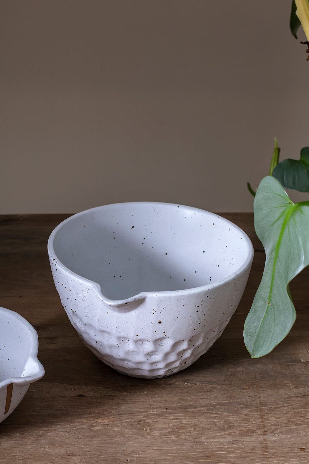 Knollberry Bowl Set of 4 By Accent Decor | Decorative Bowls | Modishstore - 7