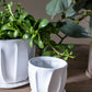 Draken Pot Set of 4 By Accent Decor | Planters, Troughs & Cachepots | Modishstore - 5