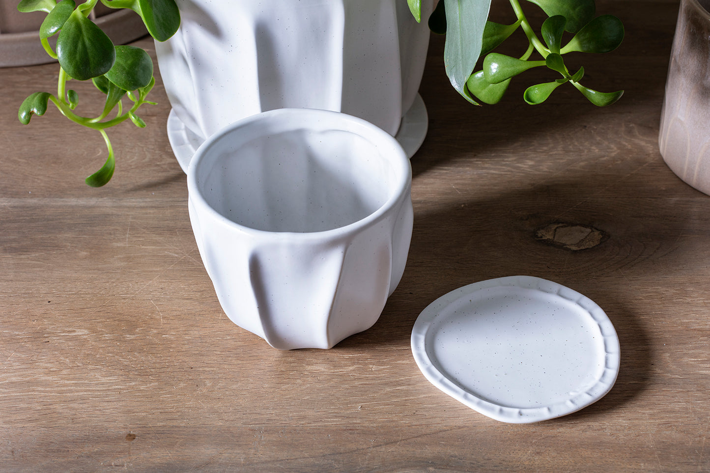 Draken Pot Set of 4 By Accent Decor | Planters, Troughs & Cachepots | Modishstore - 6