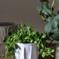 Draken Pot Set of 4 By Accent Decor | Planters, Troughs & Cachepots | Modishstore - 8