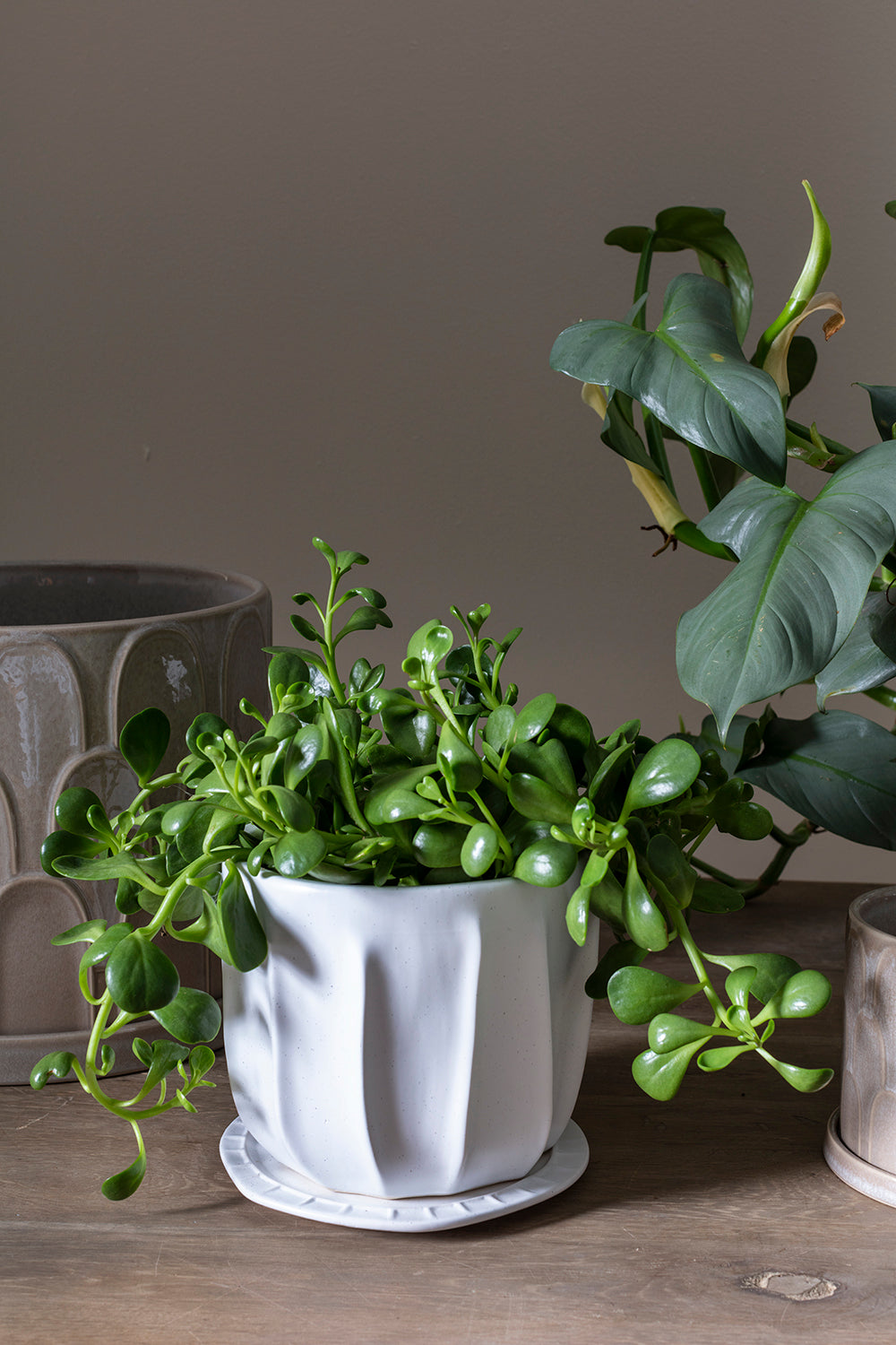 Draken Pot Set of 4 By Accent Decor | Planters, Troughs & Cachepots | Modishstore - 8