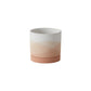 Vesper Collection Set of 8 By Accent Decor | Planters, Troughs & Cachepots | Modishstore - 2
