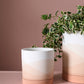 Vesper Collection Set of 8 By Accent Decor | Planters, Troughs & Cachepots | Modishstore - 5