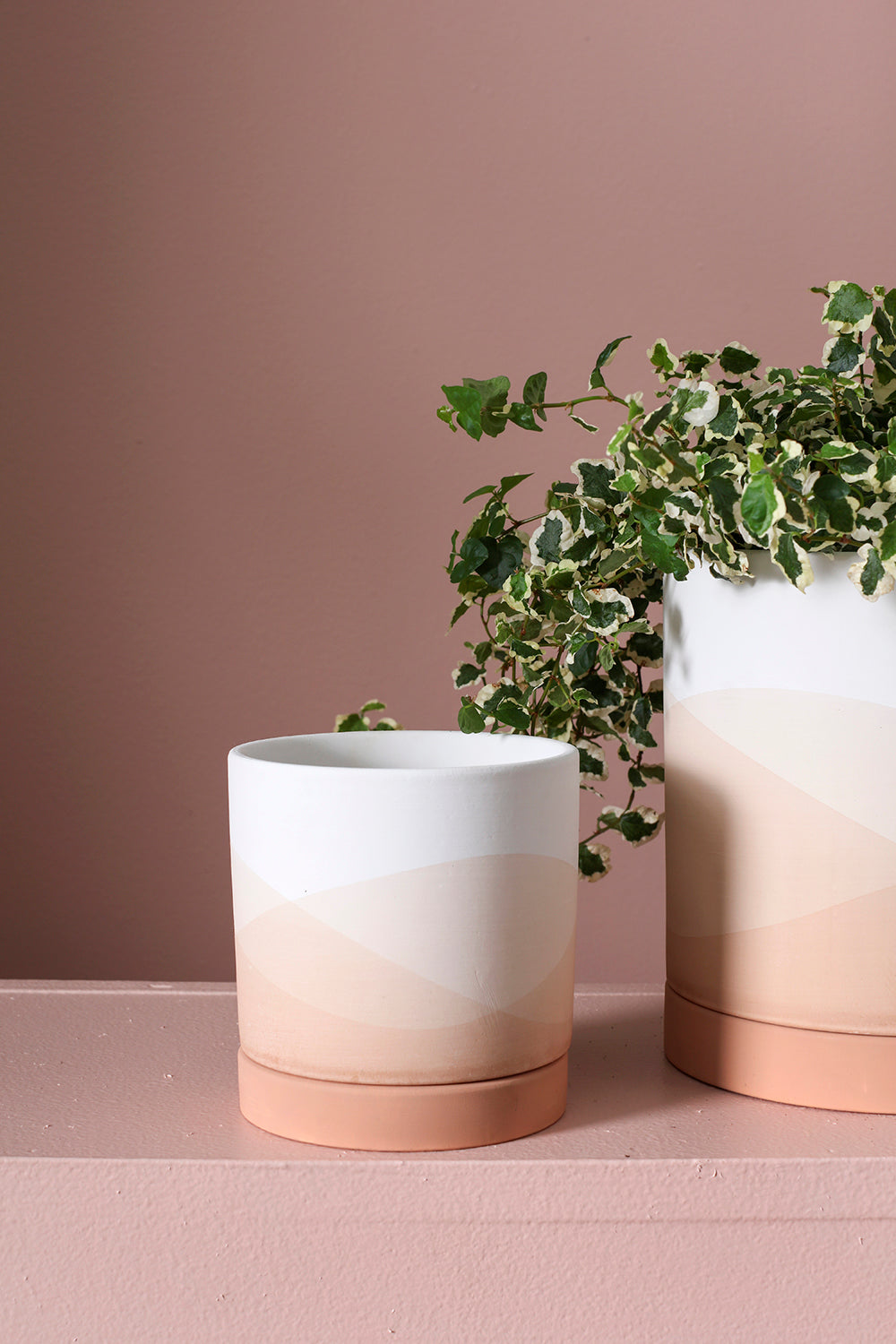 Vesper Collection Set of 8 By Accent Decor | Planters, Troughs & Cachepots | Modishstore - 5