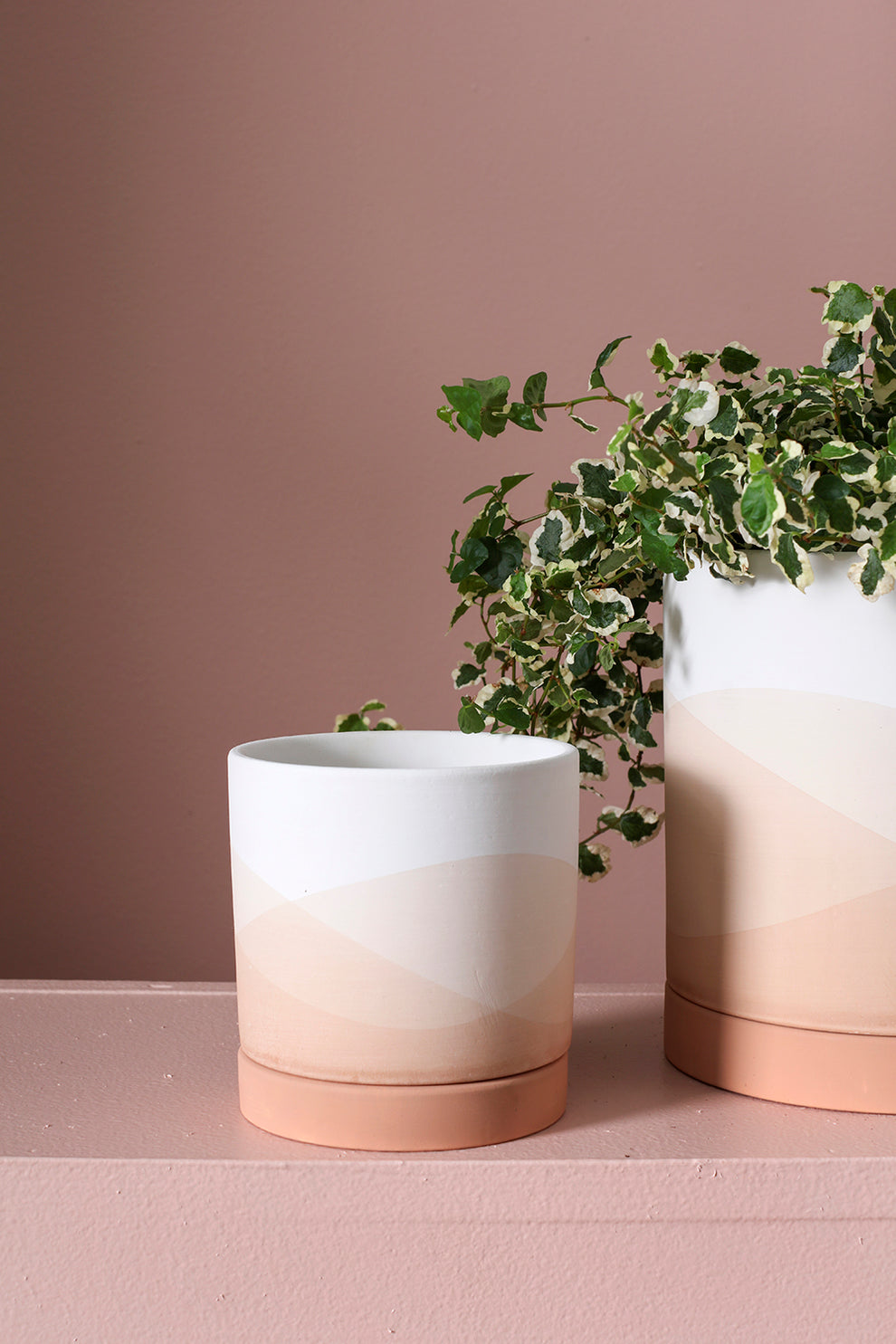 Vesper Collection Set of 8 By Accent Decor | Planters, Troughs & Cachepots | Modishstore - 5