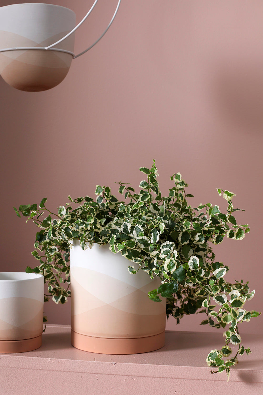 Vesper Collection Set of 8 By Accent Decor | Planters, Troughs & Cachepots | Modishstore - 7