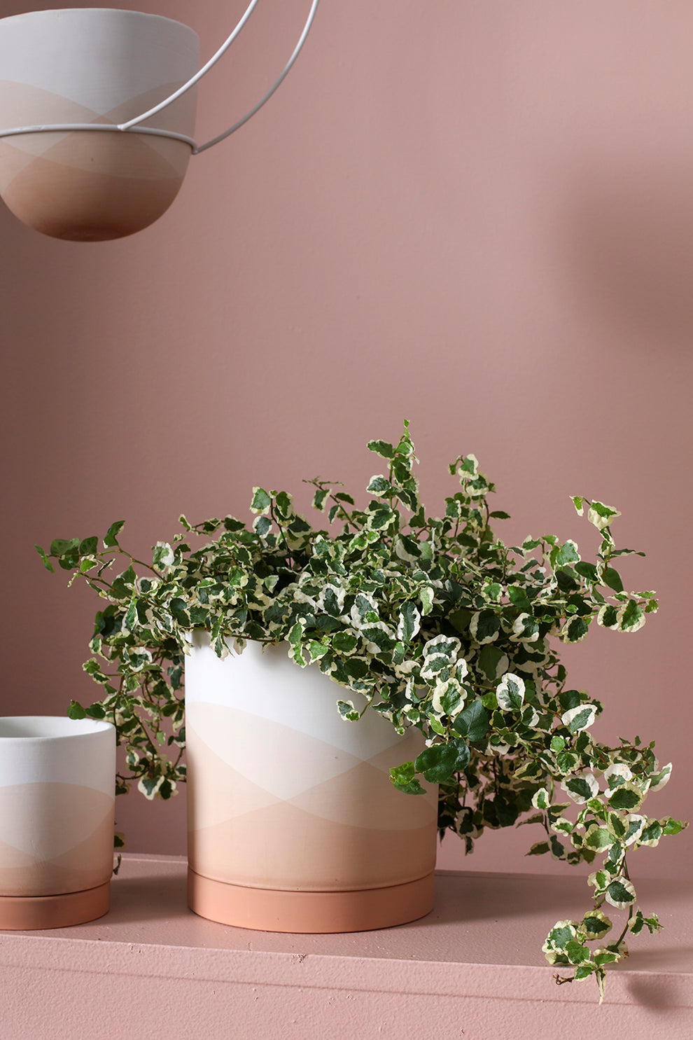 Vesper Collection Set of 8 By Accent Decor | Planters, Troughs & Cachepots | Modishstore - 7