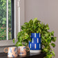 Freshside Mug Set of 4 By Accent Decor | Planters, Troughs & Cachepots | Modishstore - 4