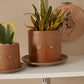 You are Loved Pot Set of 4 By Accent Decor | Planters, Troughs & Cachepots | Modishstore - 7