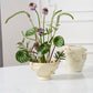 Bianca Compote Set of 4 By Accent Decor | Planters, Troughs & Cachepots | Modishstore - 5