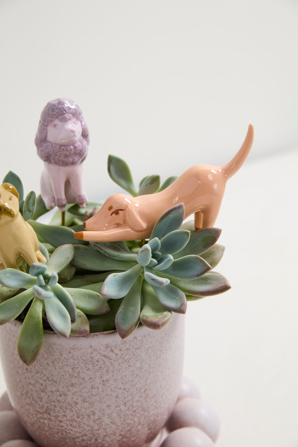 Playful Pups Plant Sticks - Set of 6 By Accent Decor | Planters, Troughs & Cachepots | Modishstore - 6