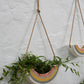 Rainbow Hanging Planter Set of 2 By Accent Decor | Planters, Troughs & Cachepots | Modishstore - 7