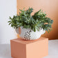Mahalo Collection Set of 4 By Accent Decor | Vases | Modishstore - 7