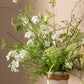 Lissome Collection Set of 4 By Accent Decor | Planters, Troughs & Cachepots | Modishstore - 5