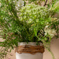 Lissome Collection Set of 4 By Accent Decor | Planters, Troughs & Cachepots | Modishstore - 6